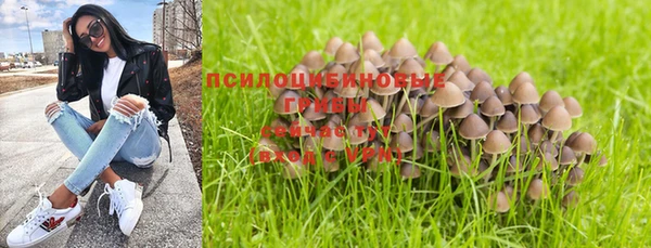 мяу мяу мука Инсар