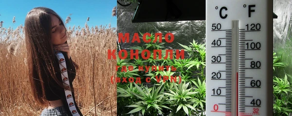 мяу мяу мука Инсар