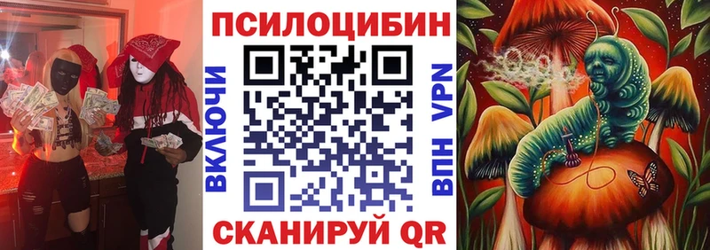 наркотики  MEGA как зайти  Псилоцибиновые грибы GOLDEN TEACHER  Зея 
